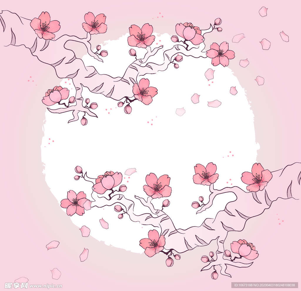 樱花