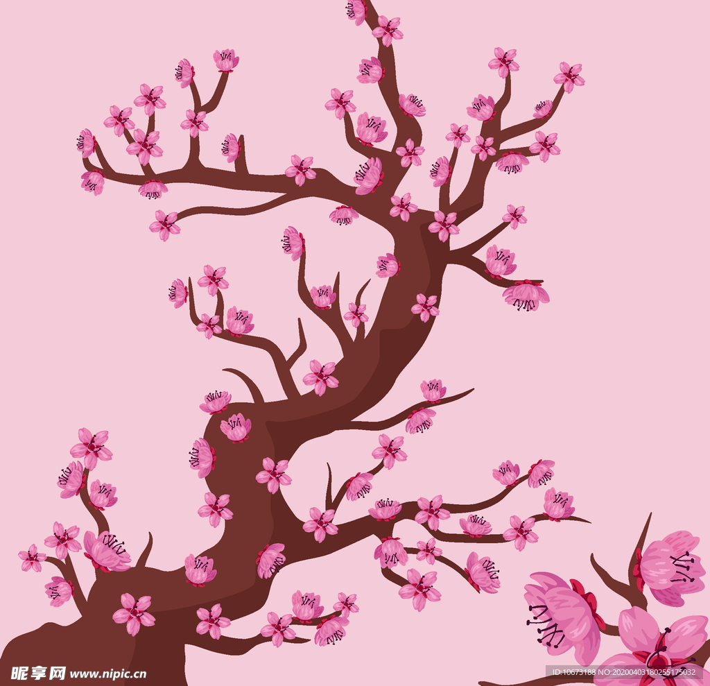 樱花