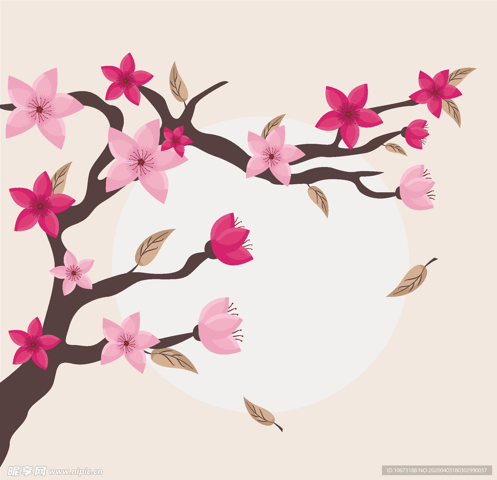 樱花