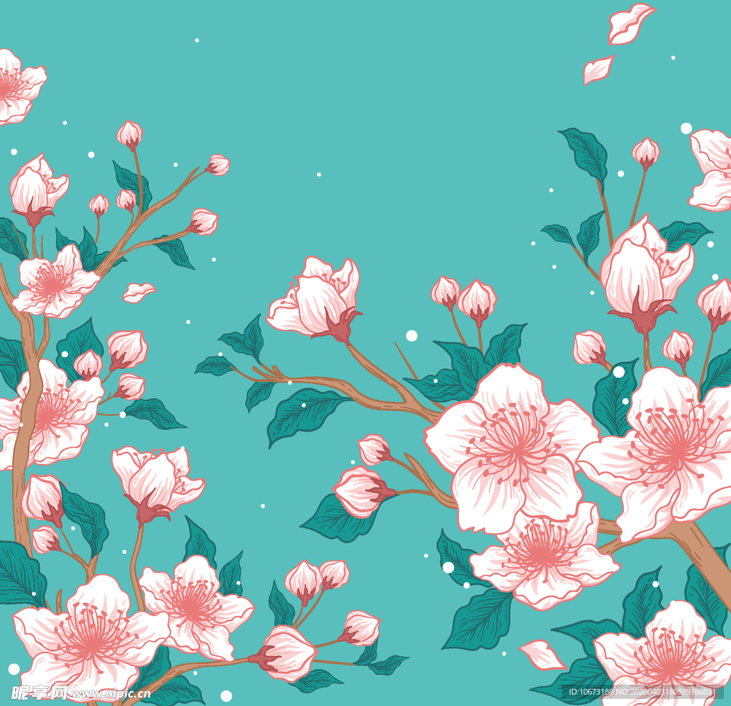 樱花