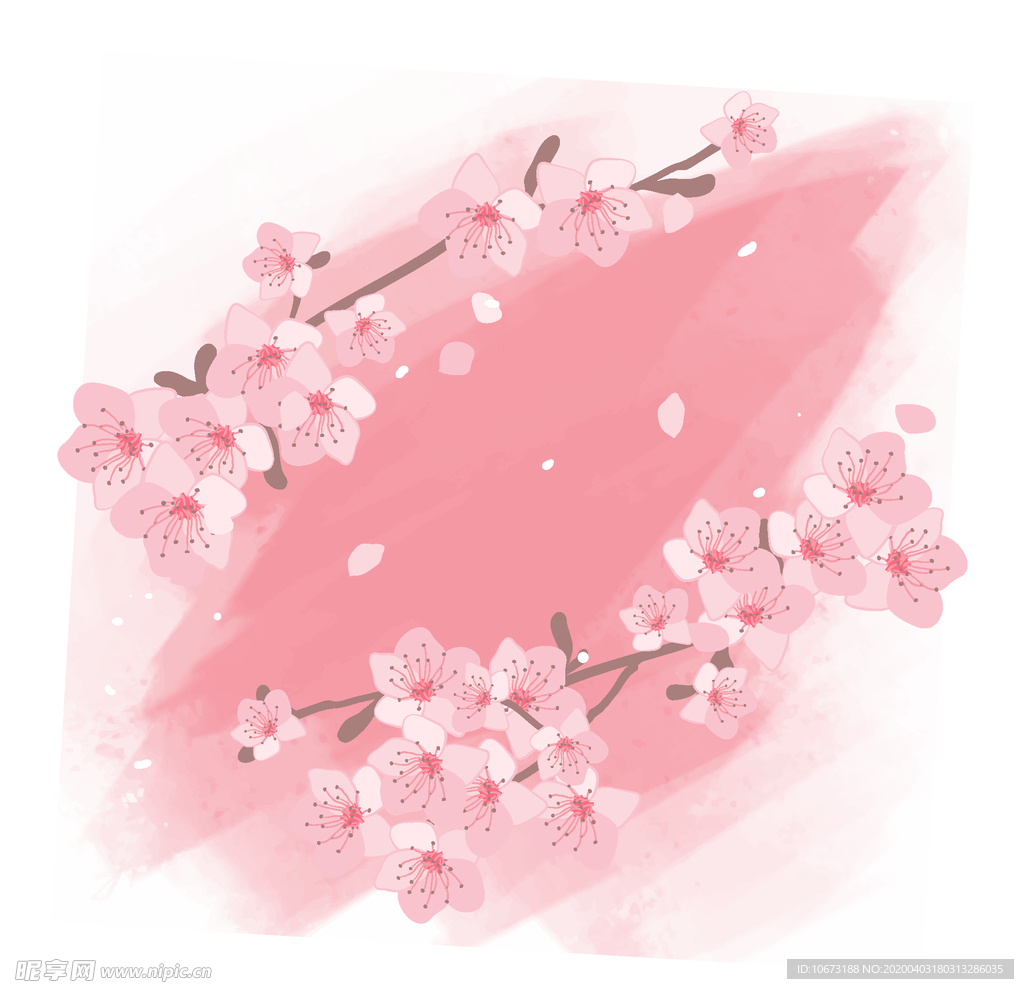 樱花