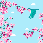 樱花