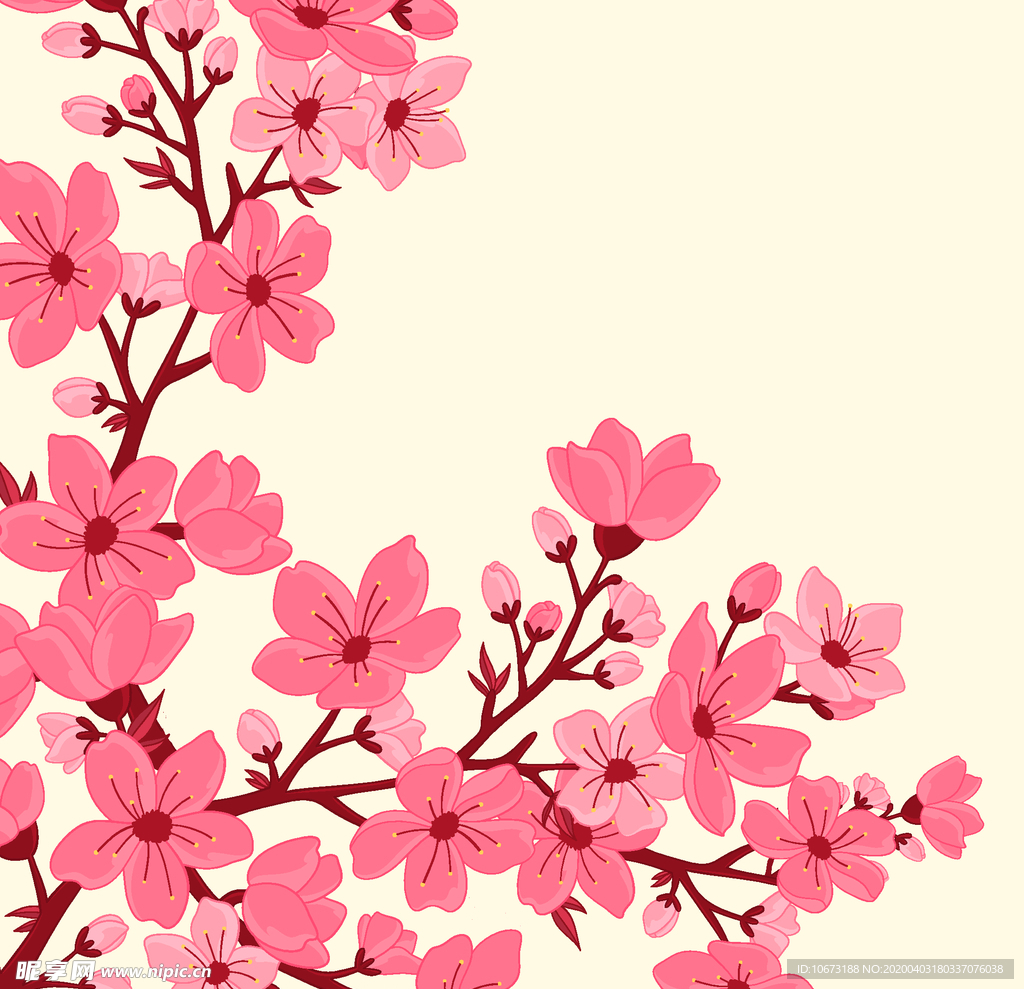 樱花