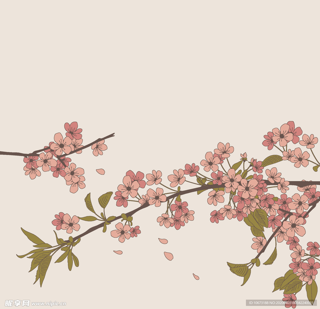 樱花