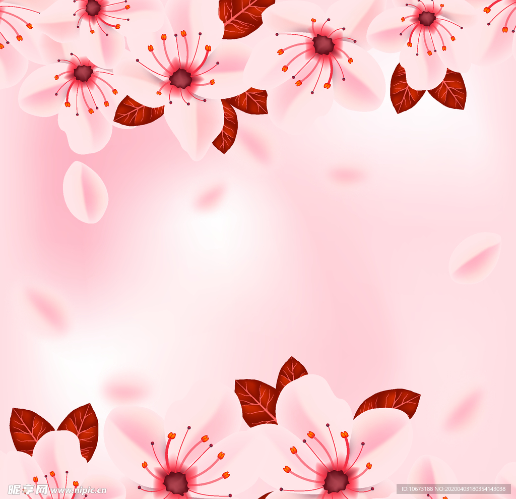 樱花