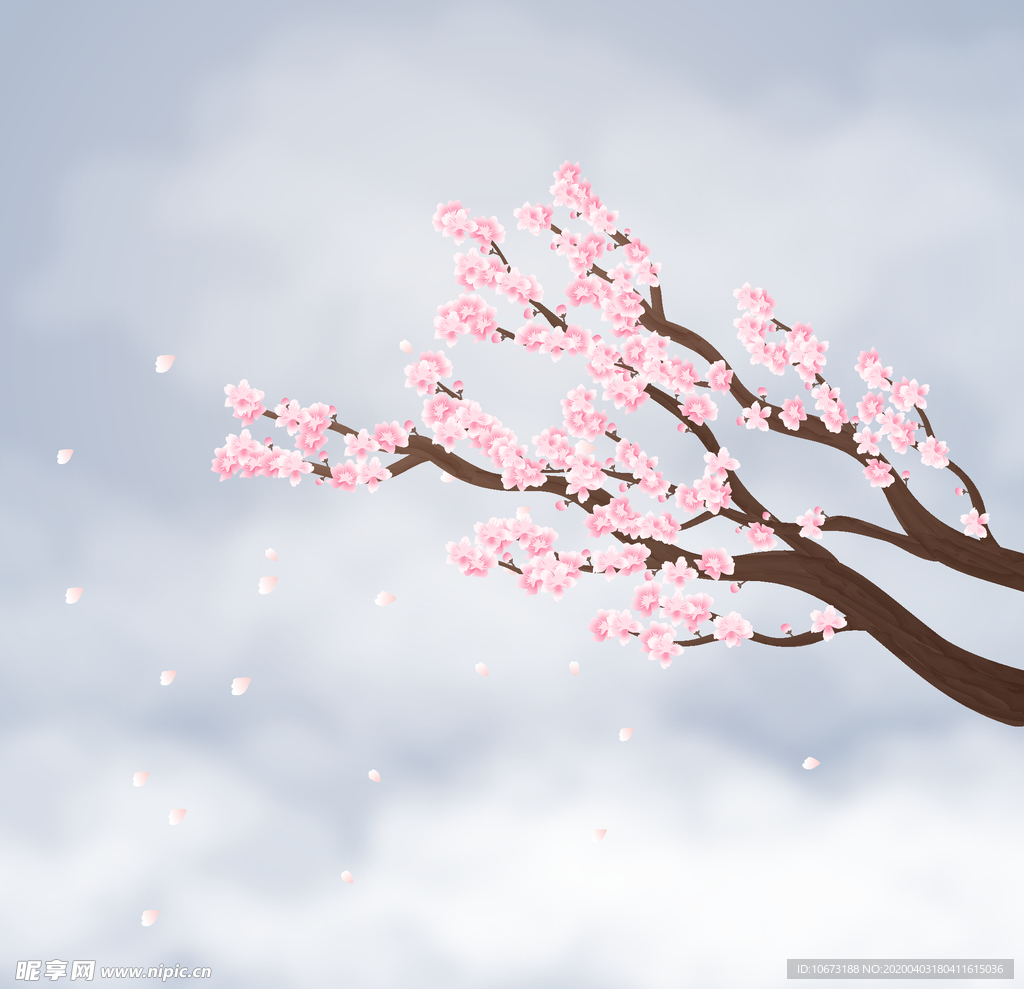 樱花