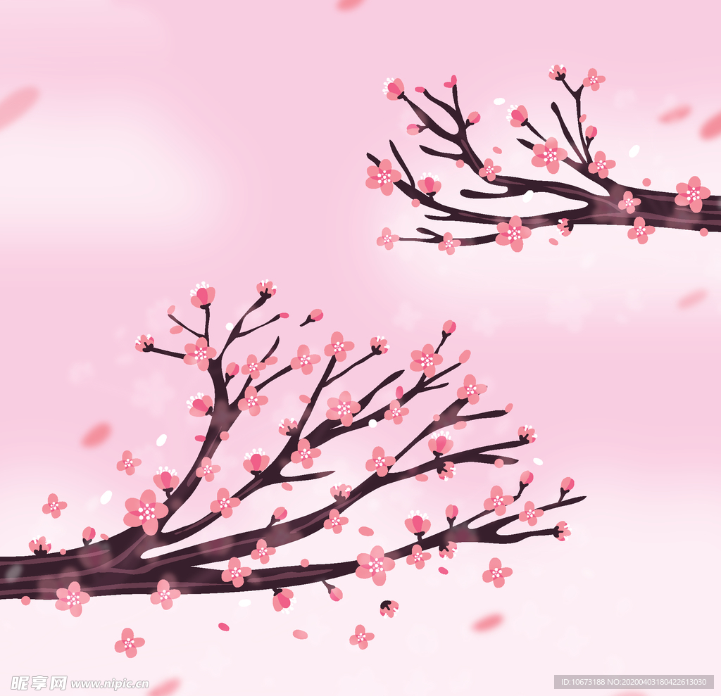 樱花