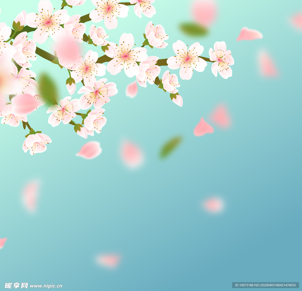 樱花