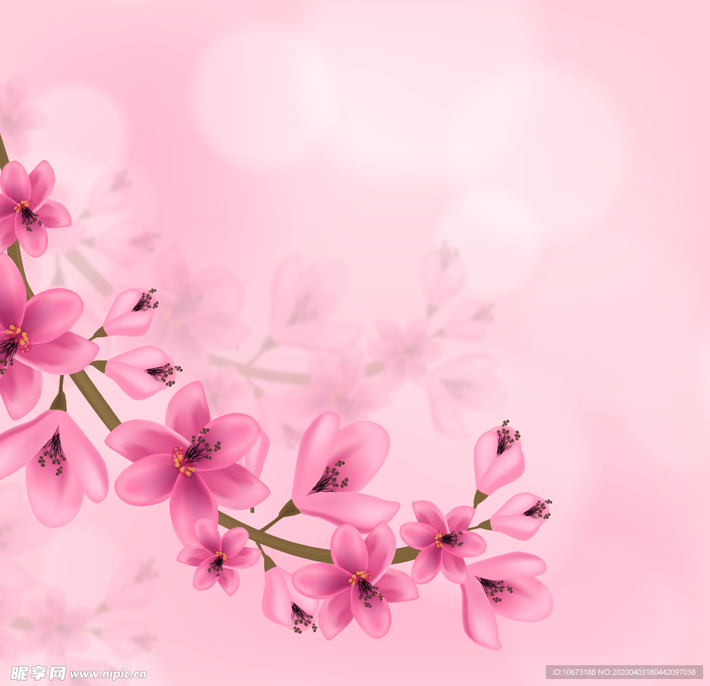 樱花
