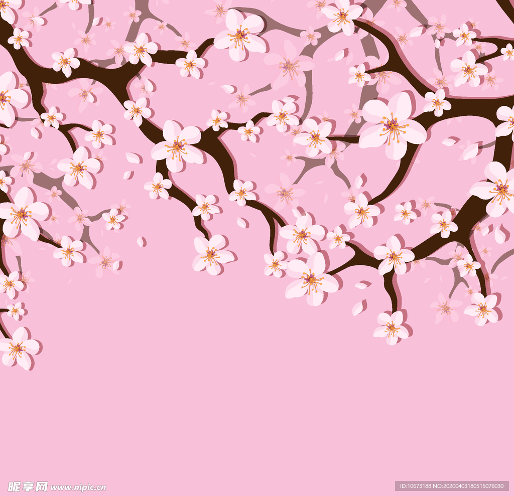 樱花