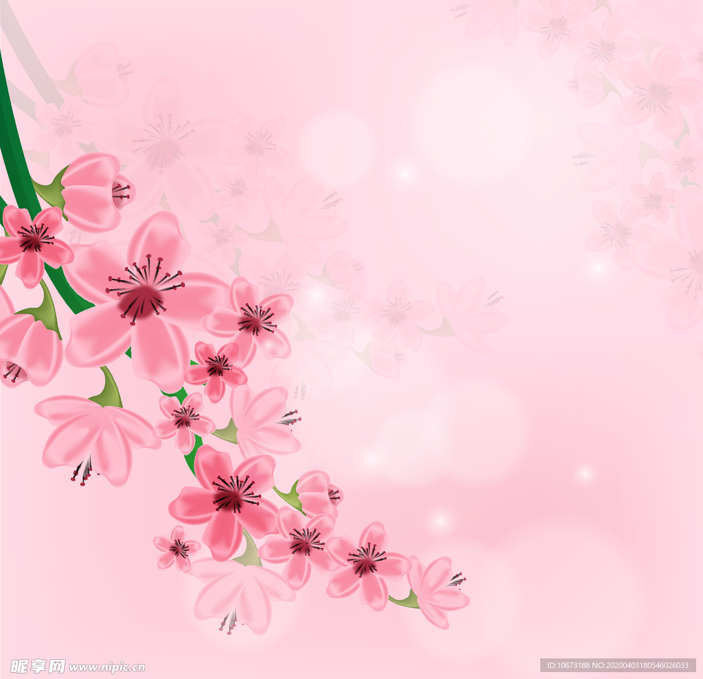 樱花