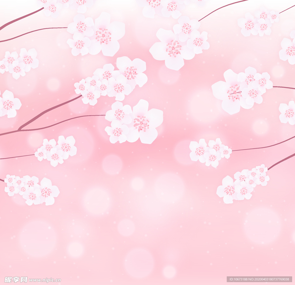 樱花