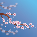 樱花