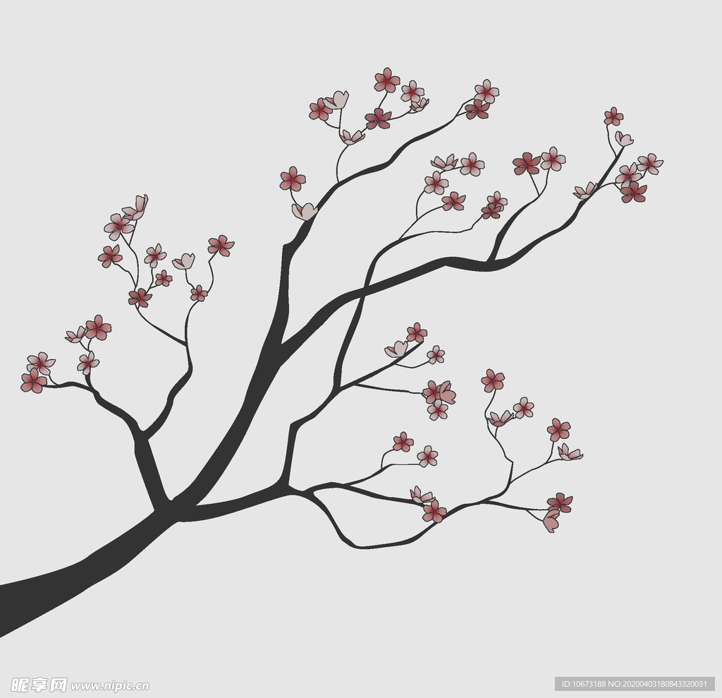 樱花