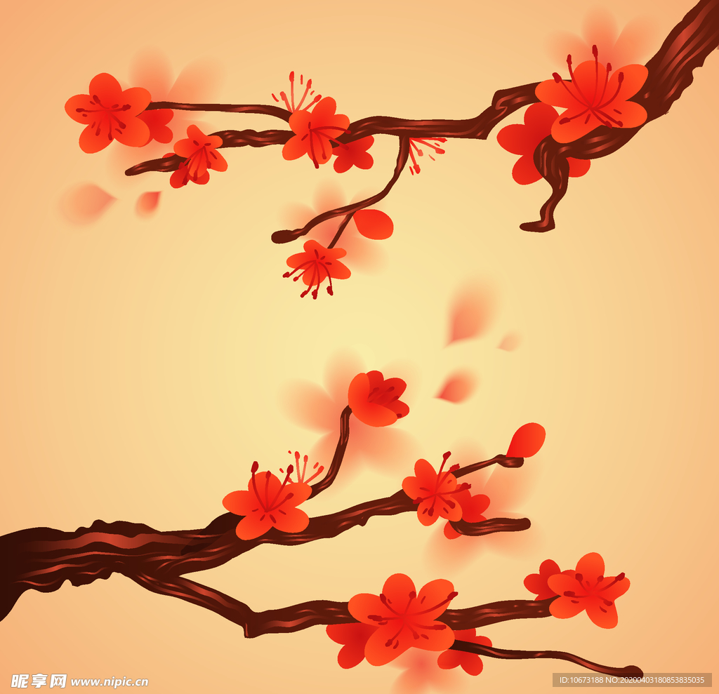 樱花