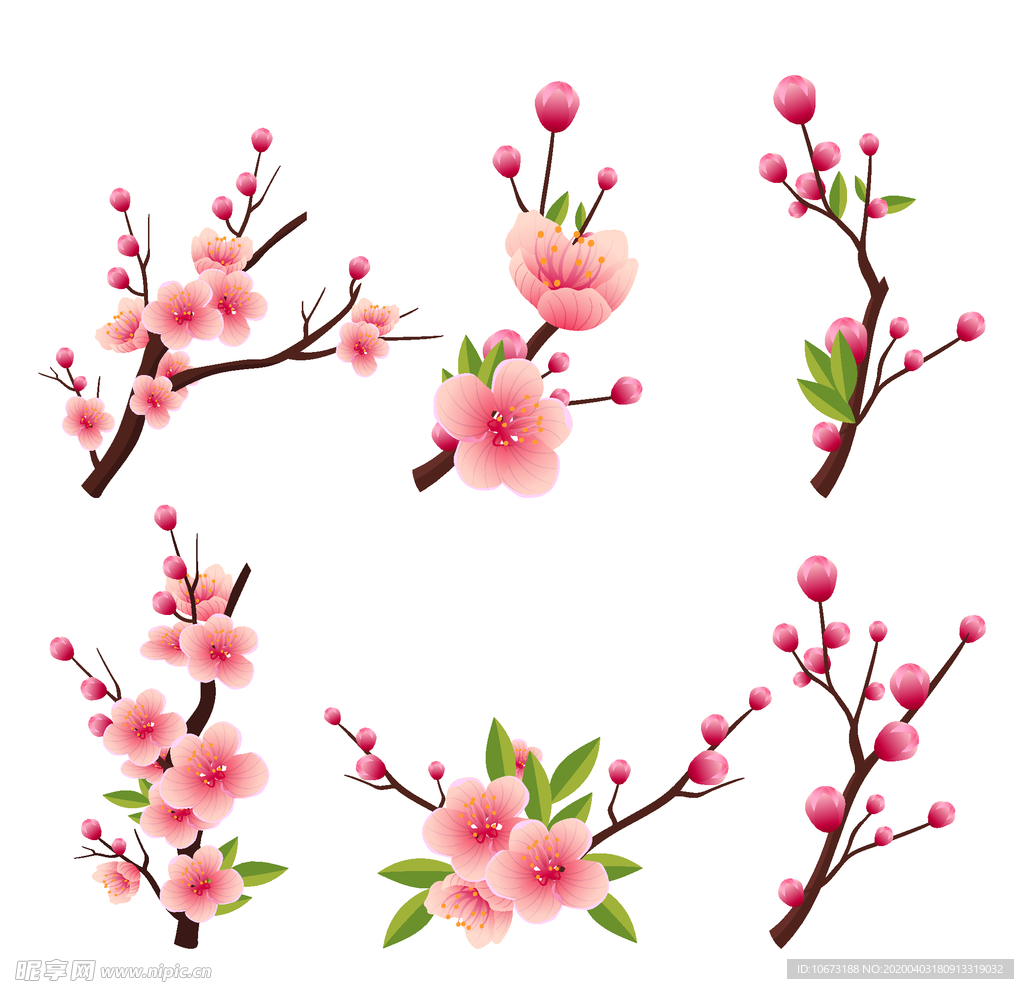 樱花