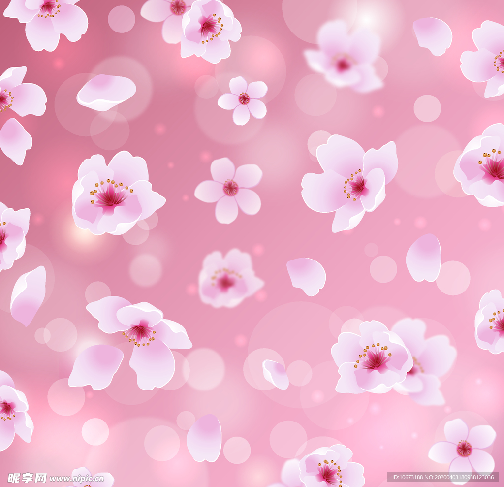 樱花