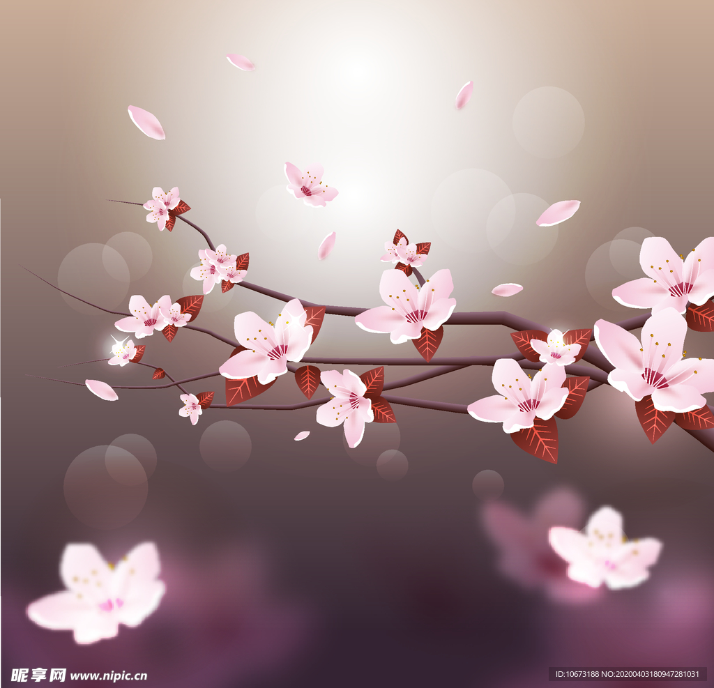 樱花