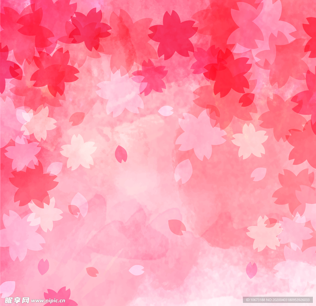 樱花