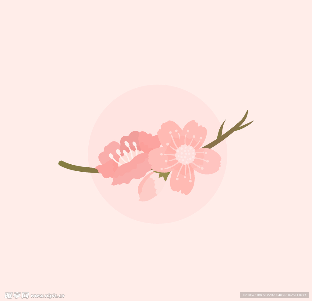 樱花