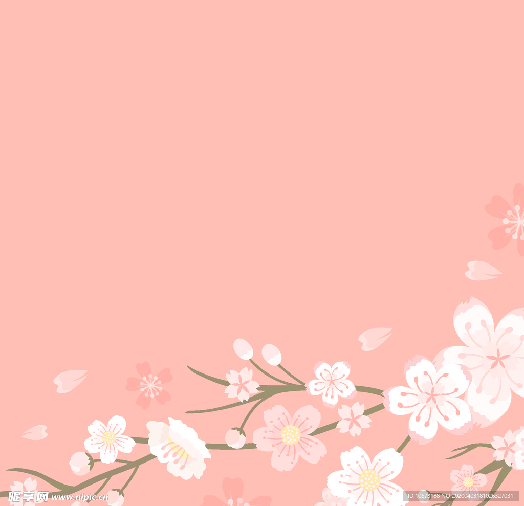 樱花