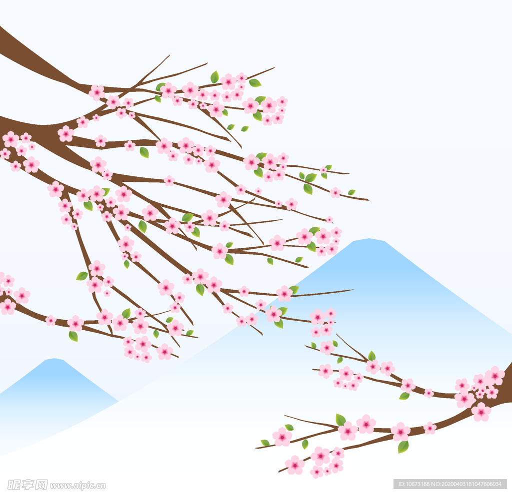 樱花
