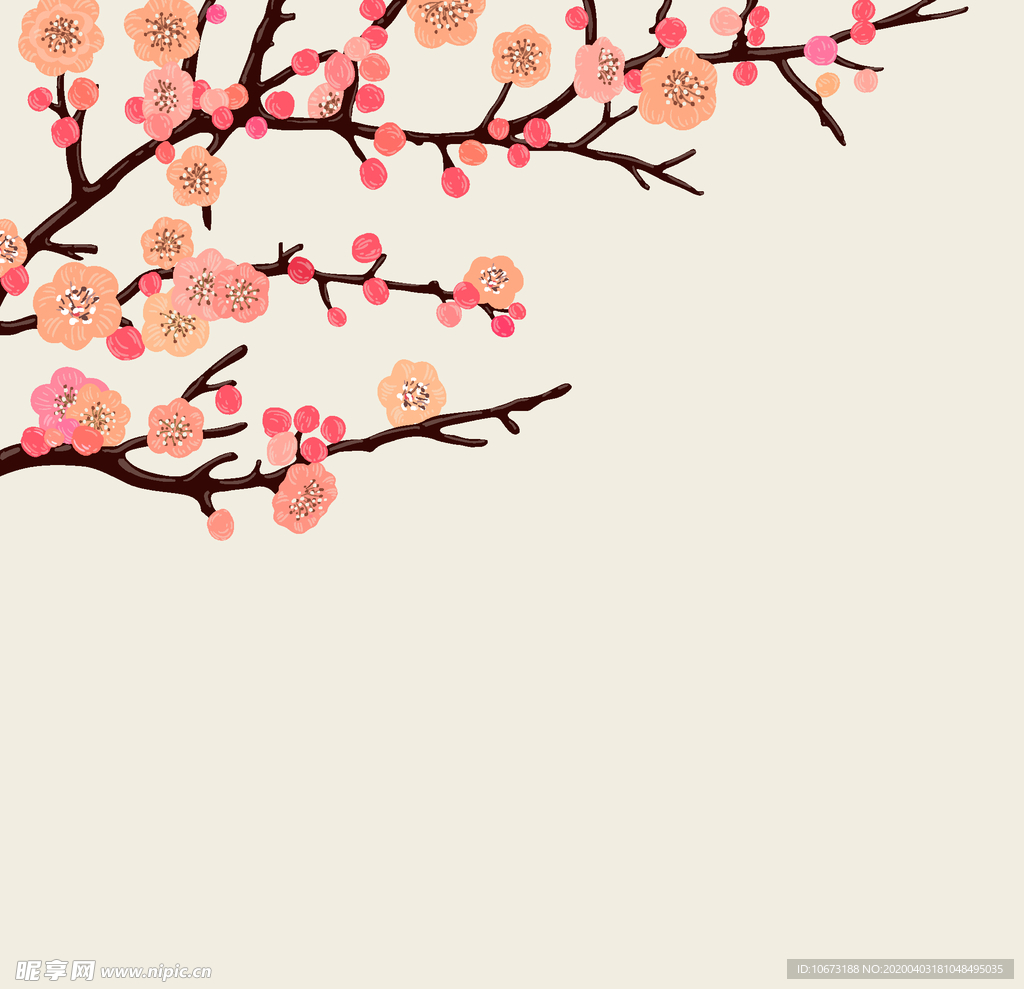 樱花