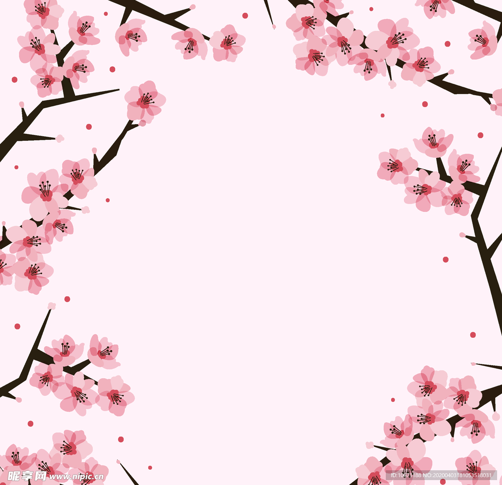 樱花