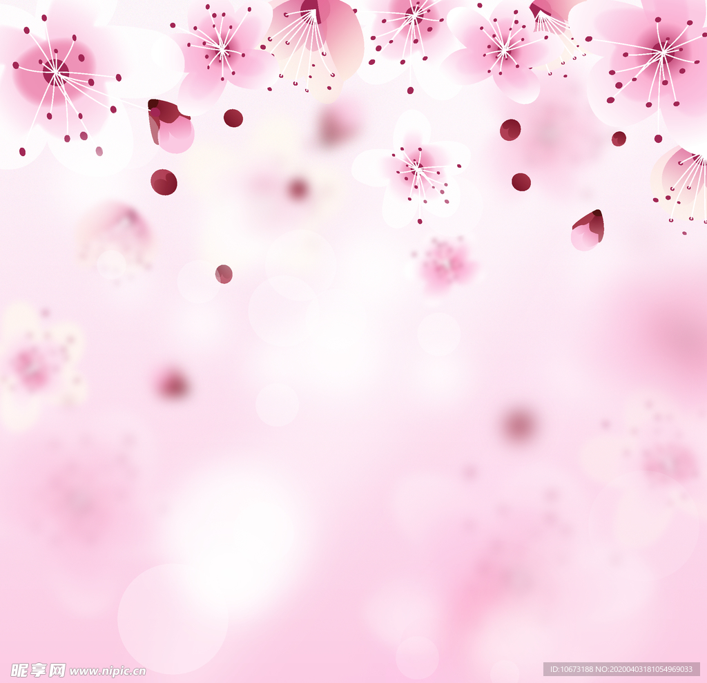樱花