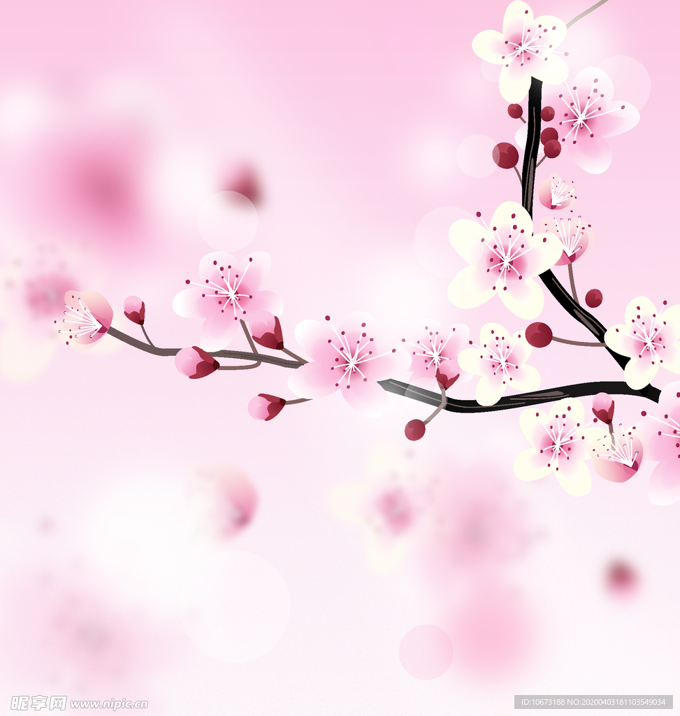 樱花