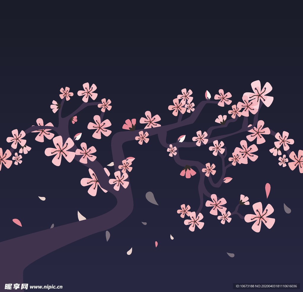 樱花