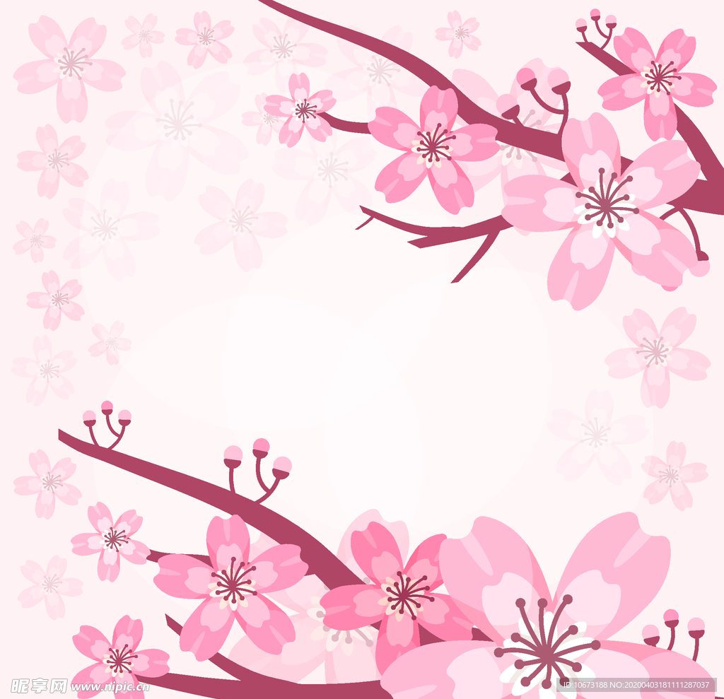 樱花