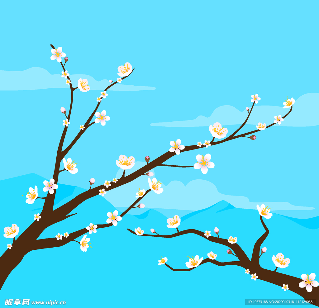 樱花