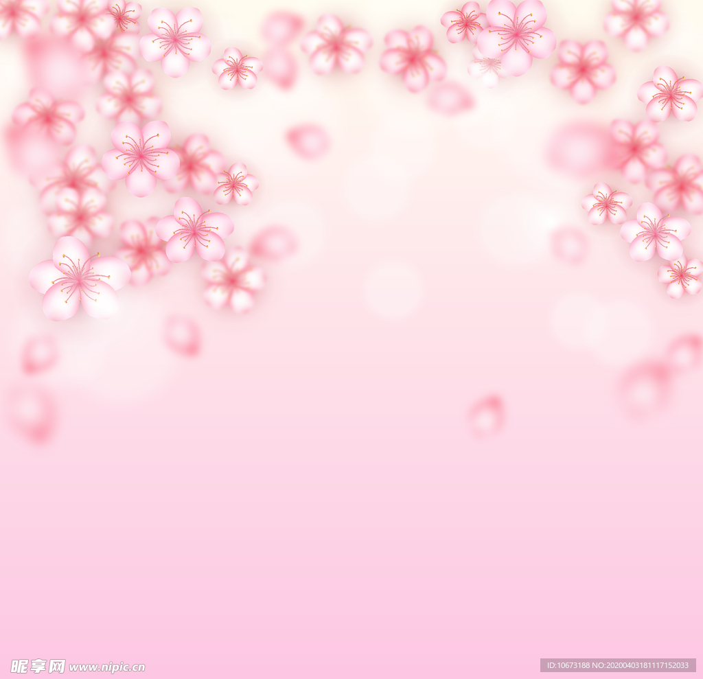 樱花