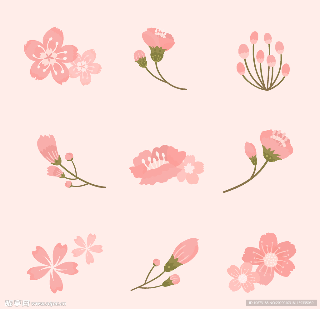 樱花