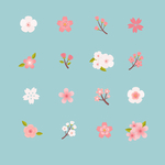 樱花