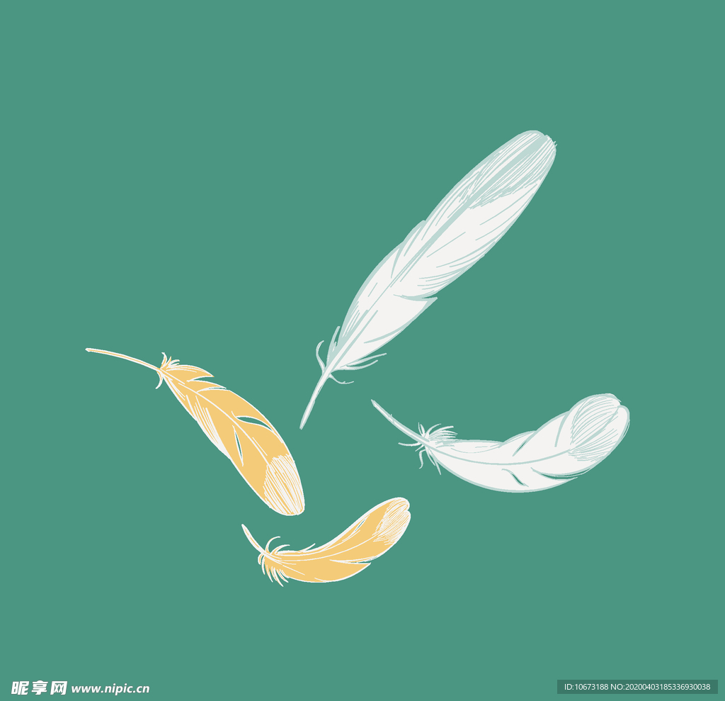 羽毛
