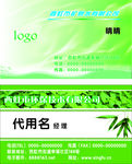 绿色名片