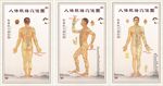 穴位图
