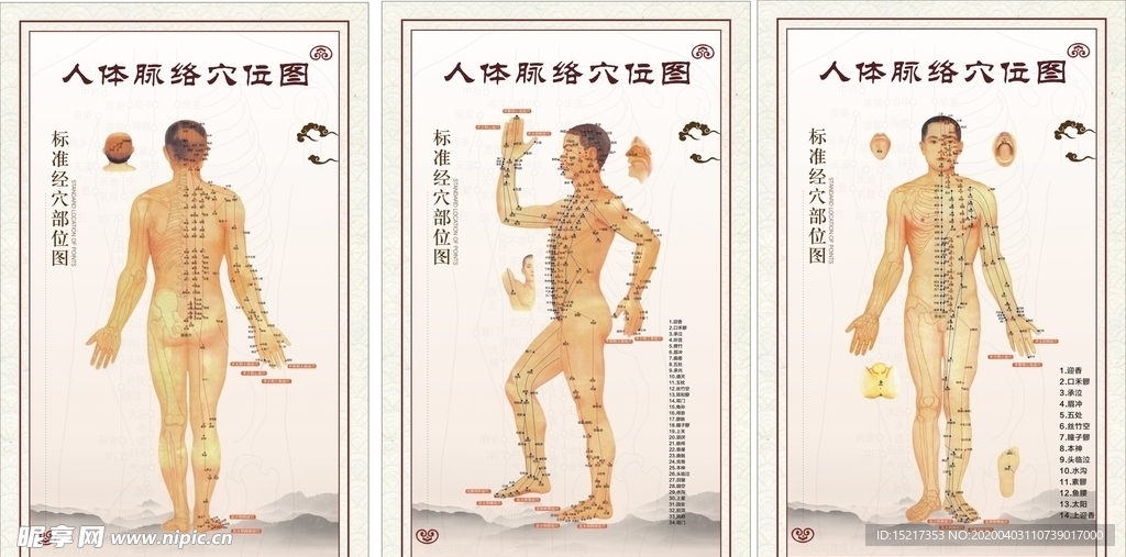 穴位图