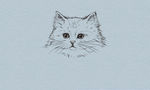 卡通小猫