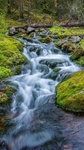 高山流水小溪森林风景手机壁纸