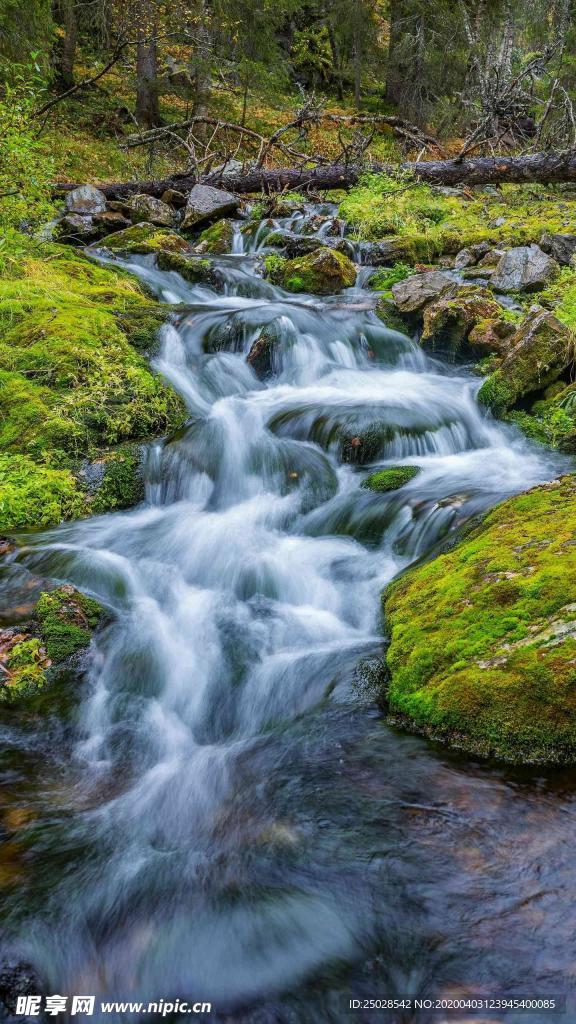 高山流水小溪森林风景手机壁纸