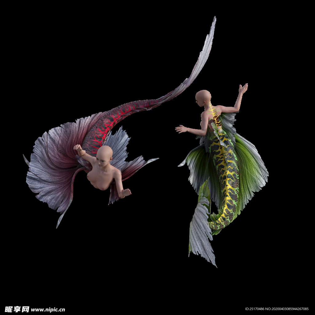 美人鱼