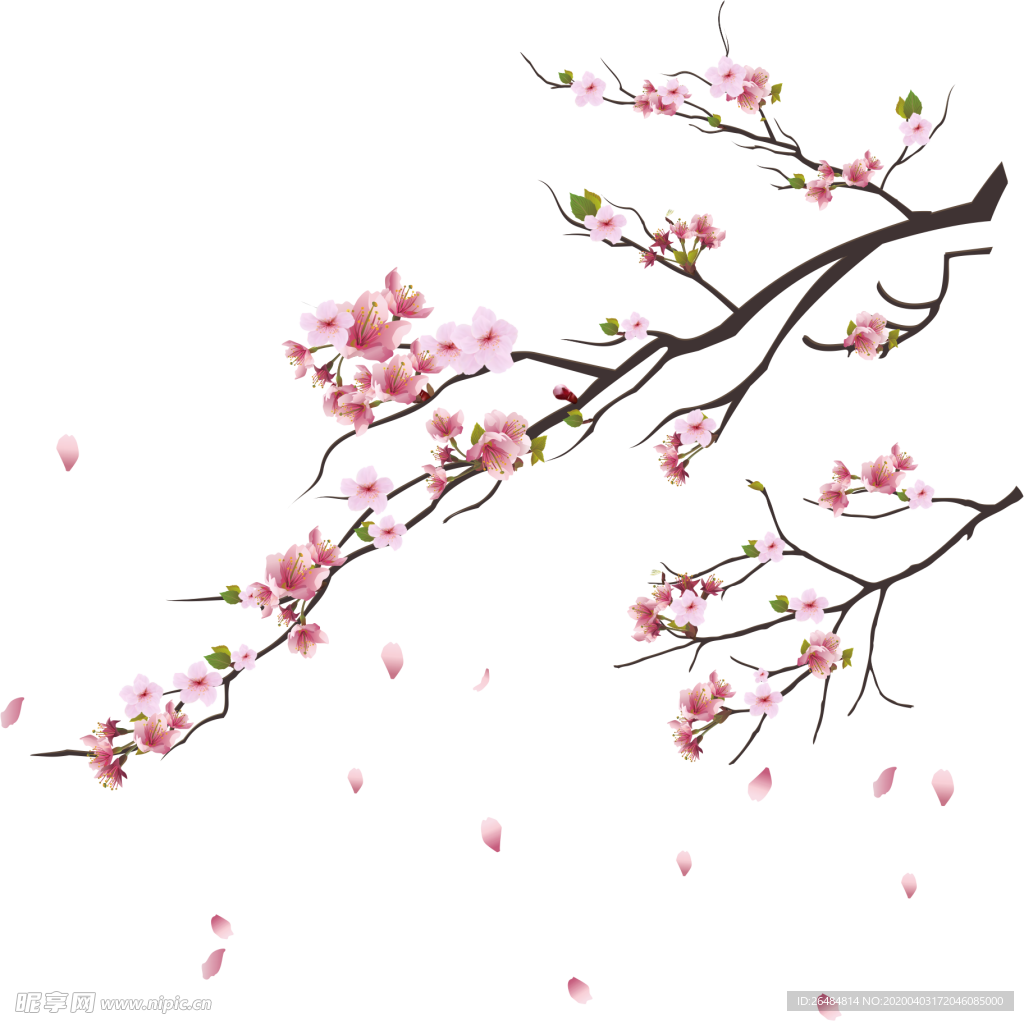 梅花