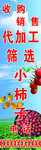 小柿子