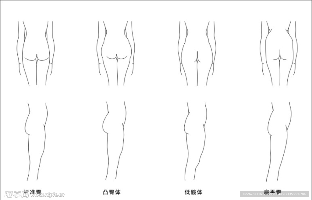 臀型