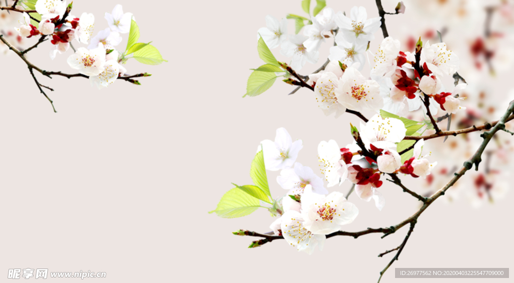 桃花图案