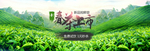 茶文化海报