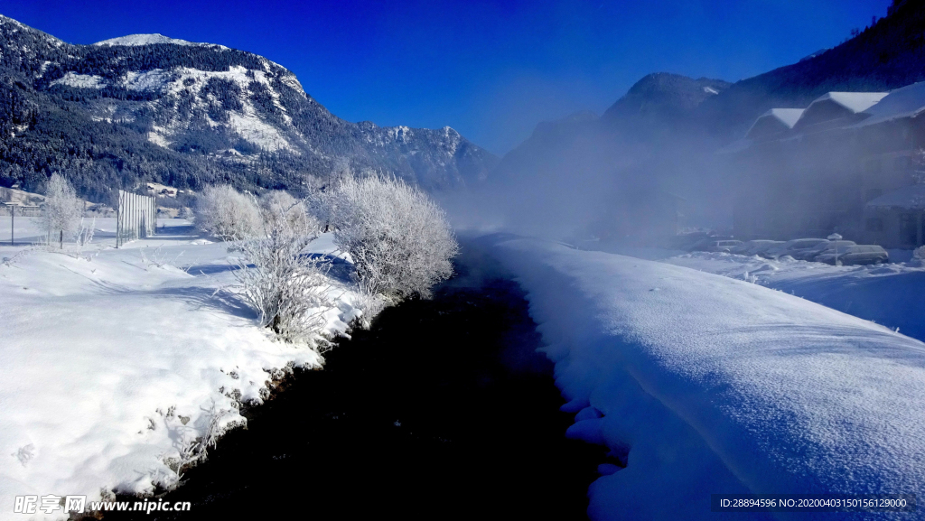 冬季森林雪景